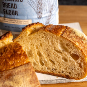 Sourdough made with Organic Bread Flour