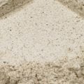 Organic-Buckwheat-Flour_Crop