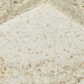 Organic-Type-85-Spelt-Flour_Crop