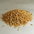 Organic-Whole-Barley