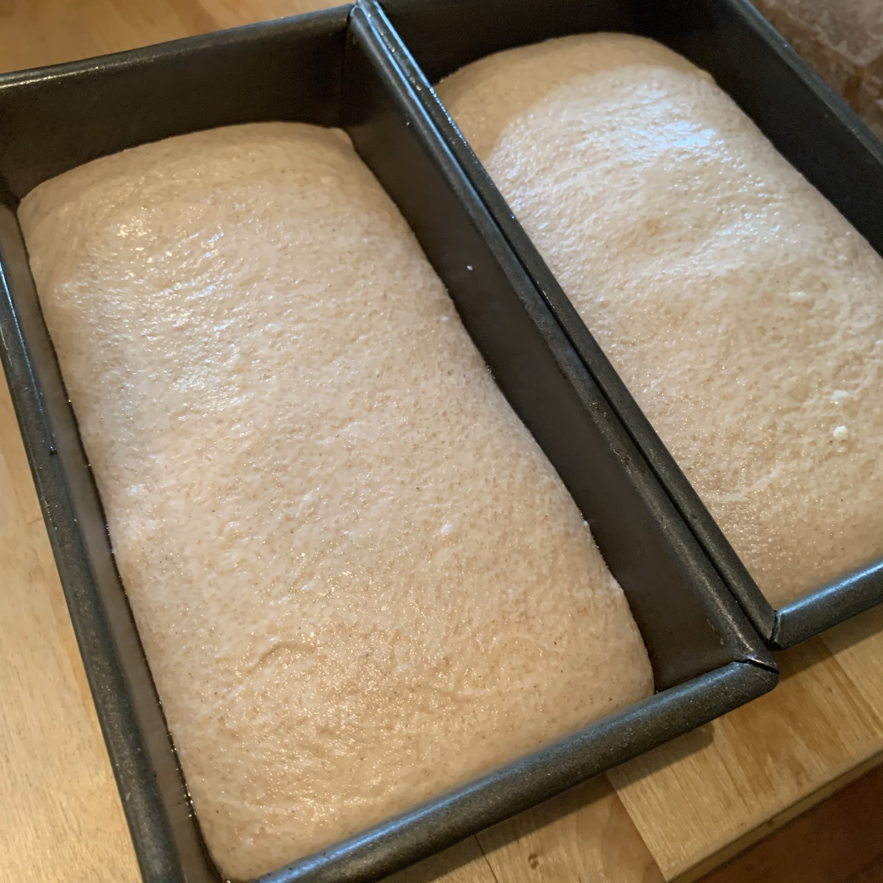 Bread Loaf Pan // Central Milling // Baking Tools