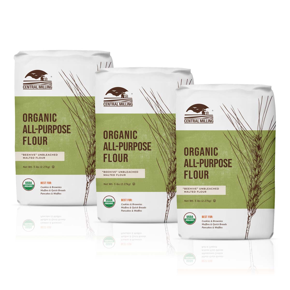 Organic All Purpose AP Flour 3-Pack