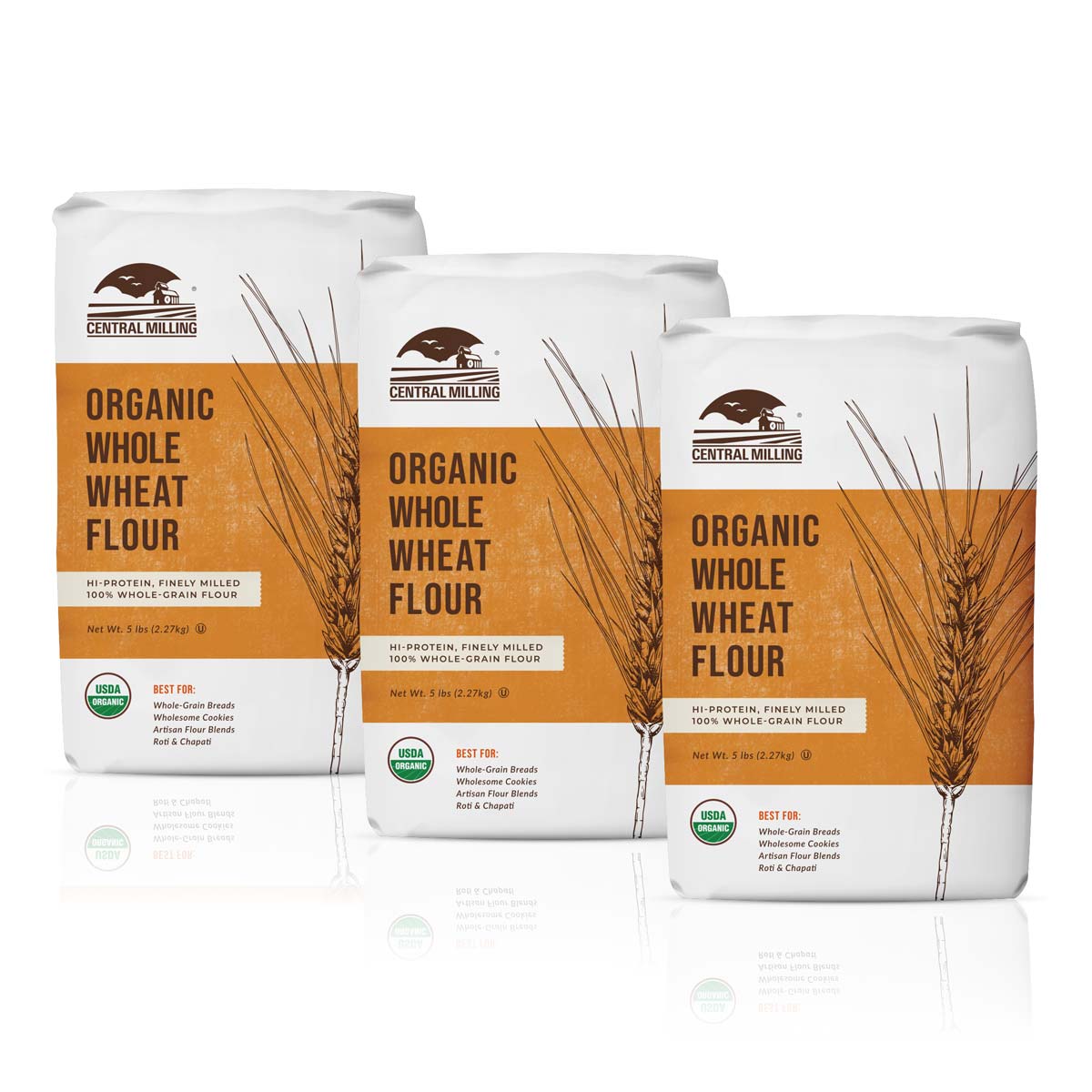 Organic Whole Wheat Flour 3-Pack